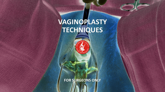 Intensive Training In Cosmetic Vaginal Surgery Iscg International Society Of Cosmetogynecology
